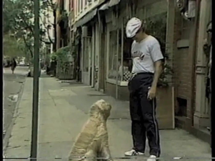 Video for the series Amazing Stories — Amazing Stories on Letterman, September 30, 1985