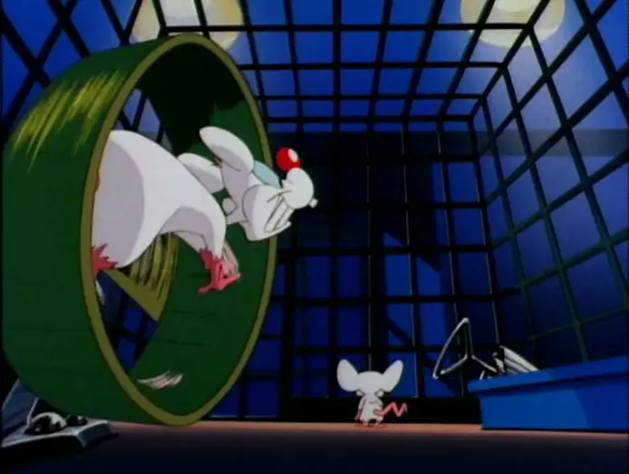 Video for the series Pinky and the Brain — Pinky and The Brain Intro