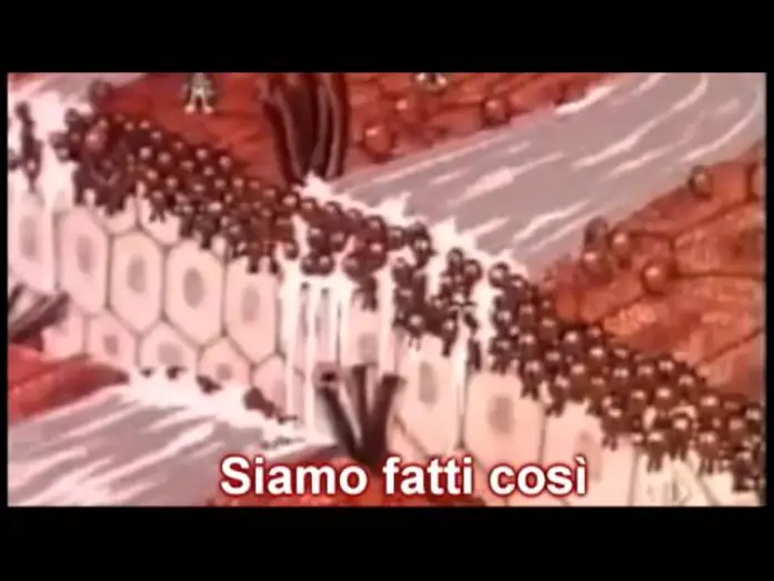 Video for the series Once Upon a Time... Life — siamo fatti così - esplorando il corpo umano - sigla