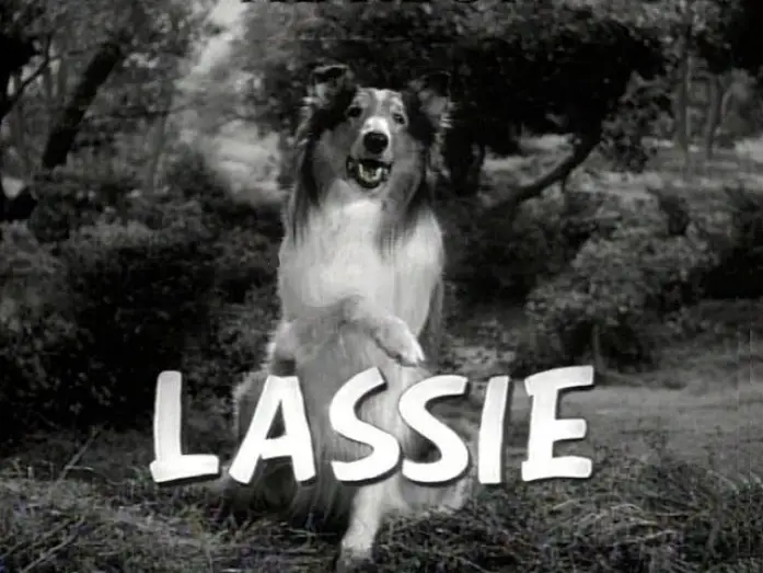 Видео к сериалу Lassie — Lassie  1954 - 1973 Opening and Closing Theme (With the Lone Ranger Snippet)