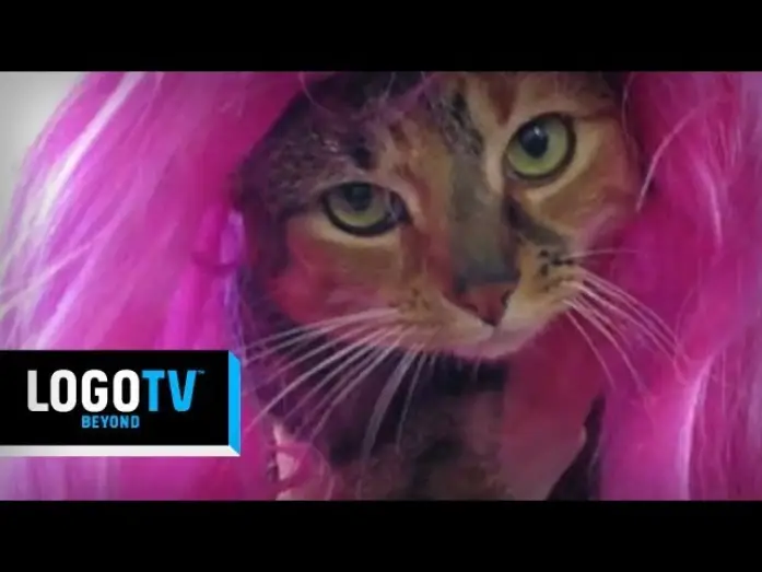 Video for the series RuPaul's Drag Race — RuPaul's Drag Race Season 6 -  The Wait Is Over Kittens! - Logo TV