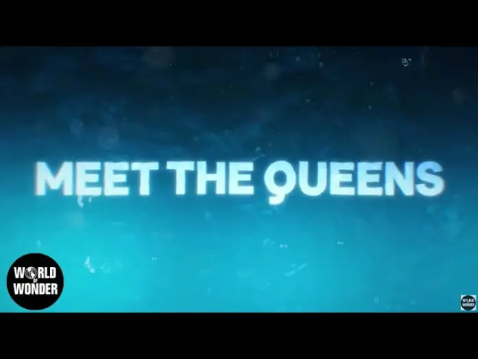 Video for the series RuPaul's Drag Race — Meet the Queens of RuPaul's Drag Race Season 17 👑