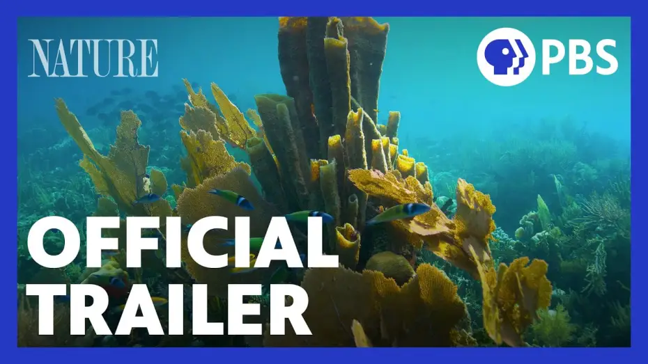 Video for the series Nature — Treasure of the Caribbean | Official Trailer | NATURE | PBS