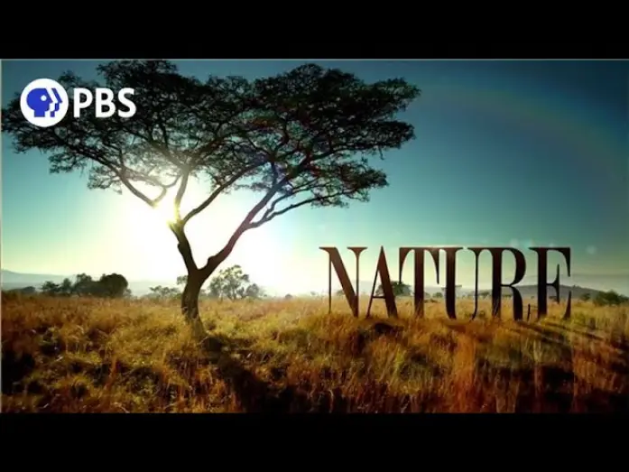 Video for the series Nature — Welcome to PBS Nature