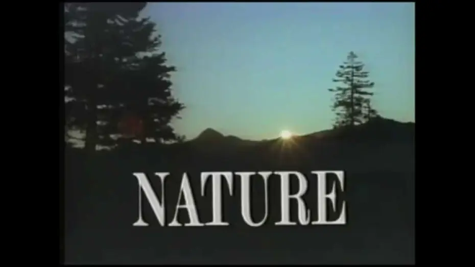 Video for the series Nature — Intro to Nature - PBS (1987)