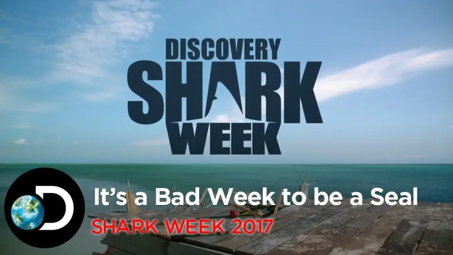 Video for the series Shark Week — It's A Bad Week To Be A Seal | Shark Week 2017