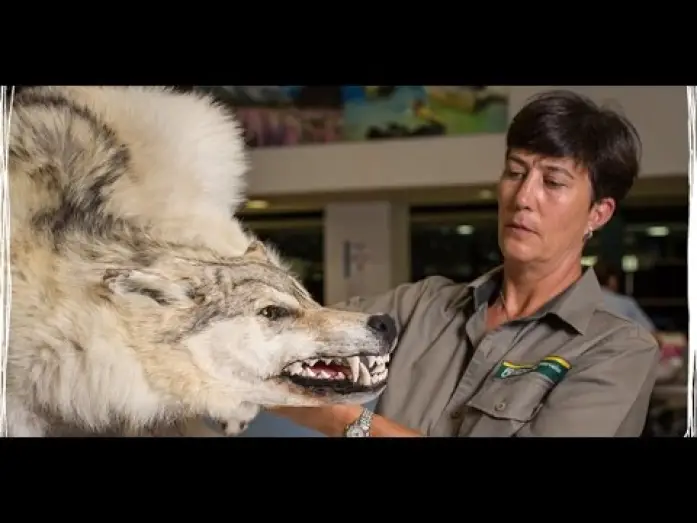 Video for the series Border Patrol — Border Patrol Series 7 Promo