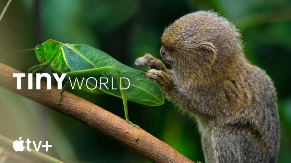 Видео к сериалу Tiny World — Trailer ufficiale