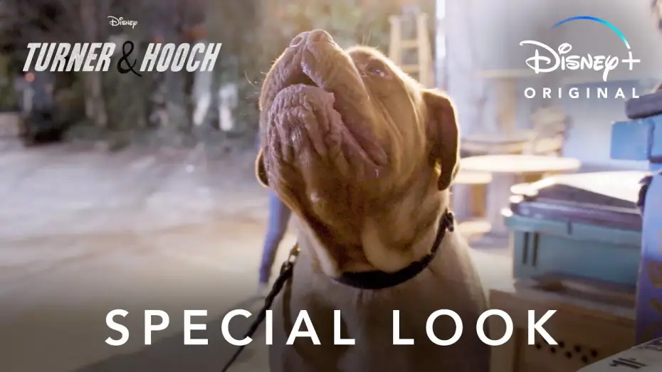 Video for the series Turner & Hooch — Special Look | Turner & Hooch | Disney+