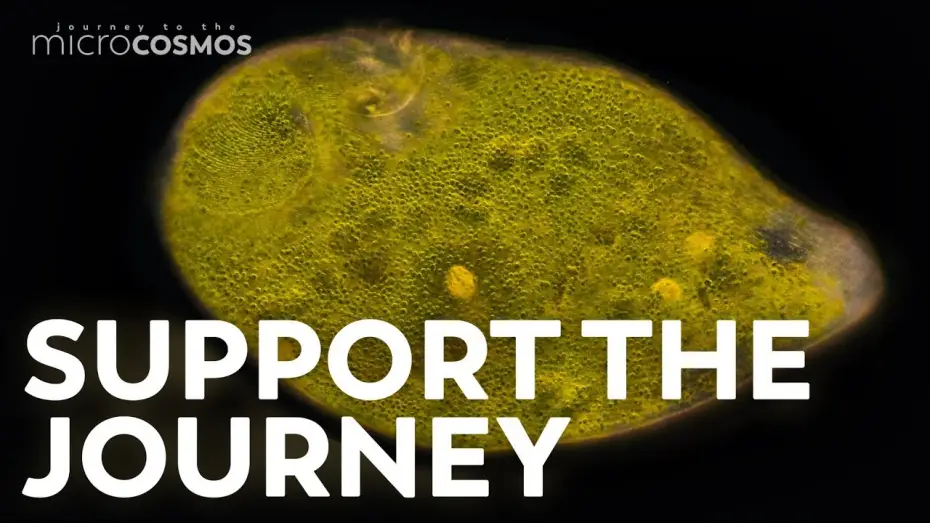 Video for the series Journey to the Microcosmos — You Can Support The Microcosmos!
