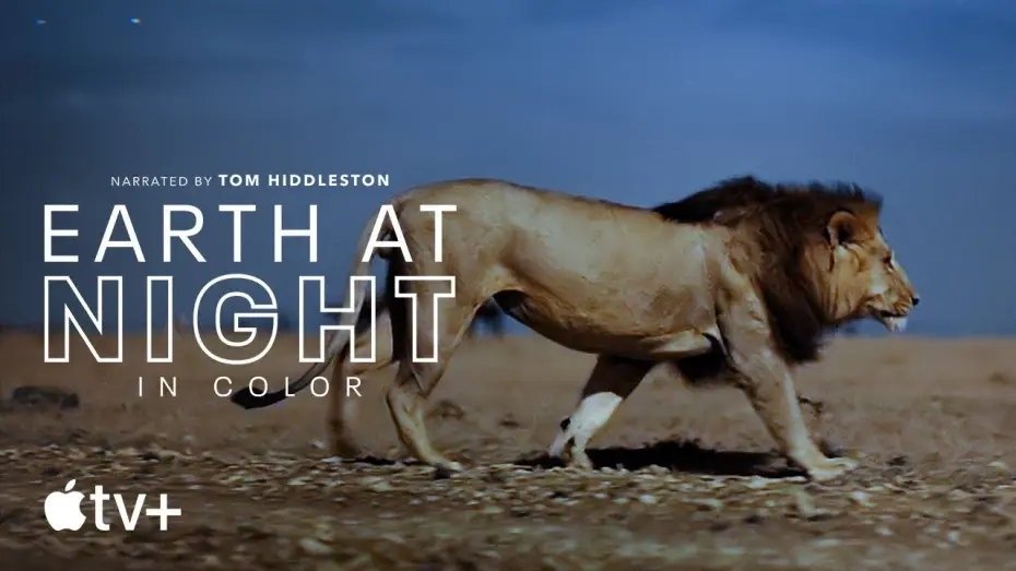 Video for the series Earth at Night in Colour — Earth At Night In Color — Official Trailer | Apple TV+