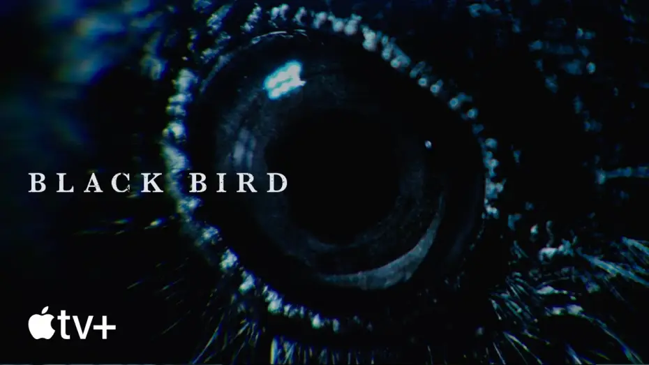 Video for the series Black Bird — Opening Title Sequence