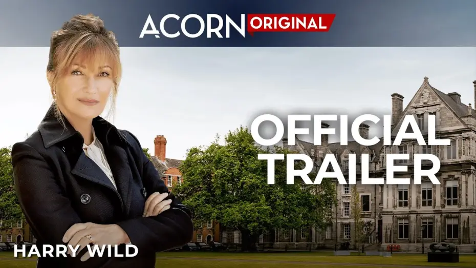 Video for the series Harry Wild — Official Trailer