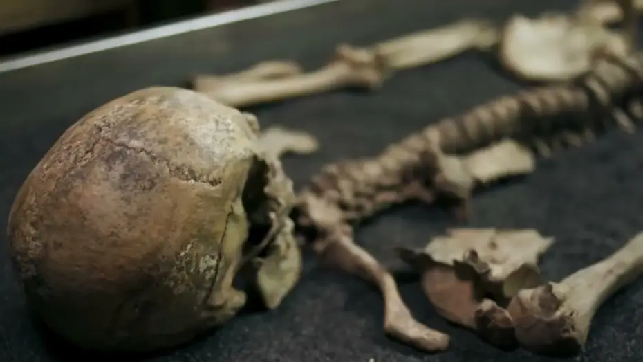 Video for the series Lucy Worsley Investigates — Lucy Worsley Investigates - Preview