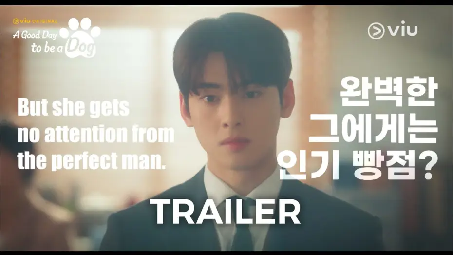 Video for the series A Good Day to be a Dog — Teaser 1 [ENG SUB]