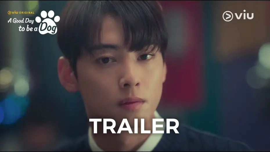 Video for the series A Good Day to be a Dog — Now Streaming [ENG SUB]