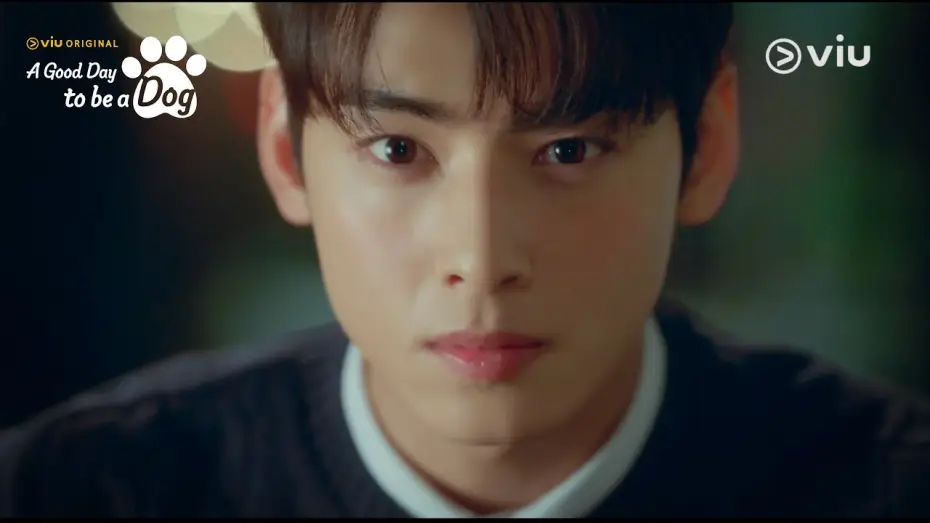 Video for the series A Good Day to be a Dog — Teaser 2: Cha Eun Woo's Paw-dorable Secret! [ENG SUB]