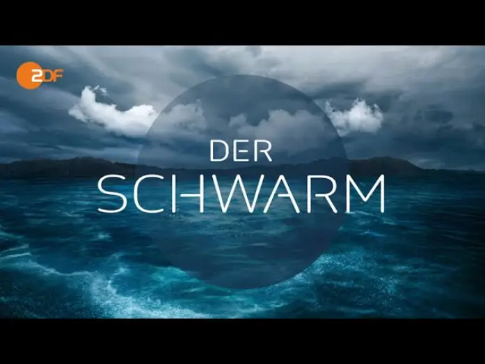Video for the series The Swarm — Erster Trailer (OmU)