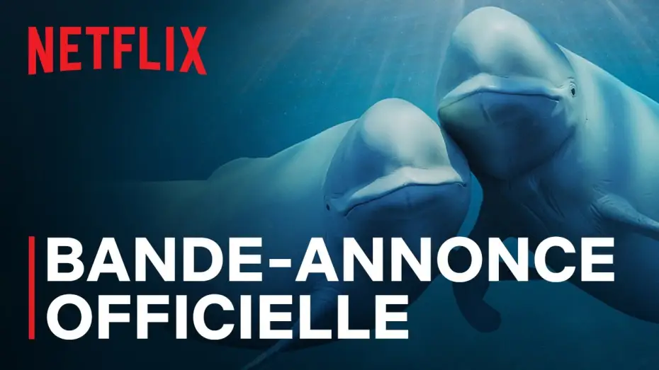 Video for the series Our Oceans — Bande-annonce officielle [VOSTFR]