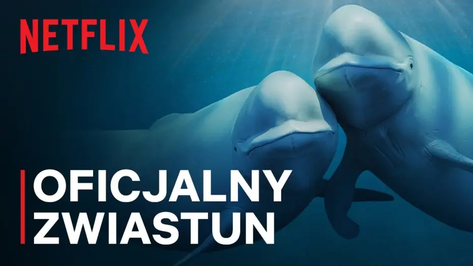Video for the series Our Oceans — Oficjalny zwiastun [Napisy]