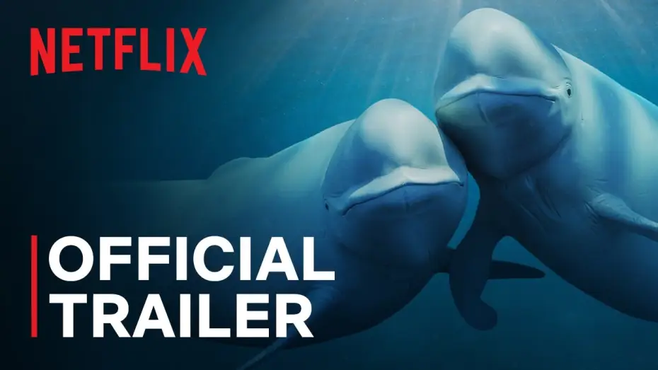 Video for the series Our Oceans — Official Trailer