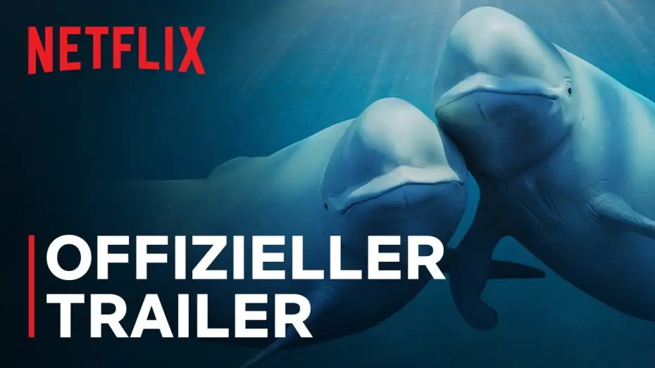Video for the series Our Oceans — Offizieller Trailer [OmU]