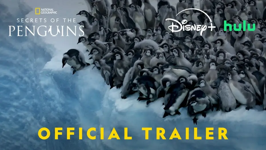 Video for the series Secrets of the Penguins — Official Trailer