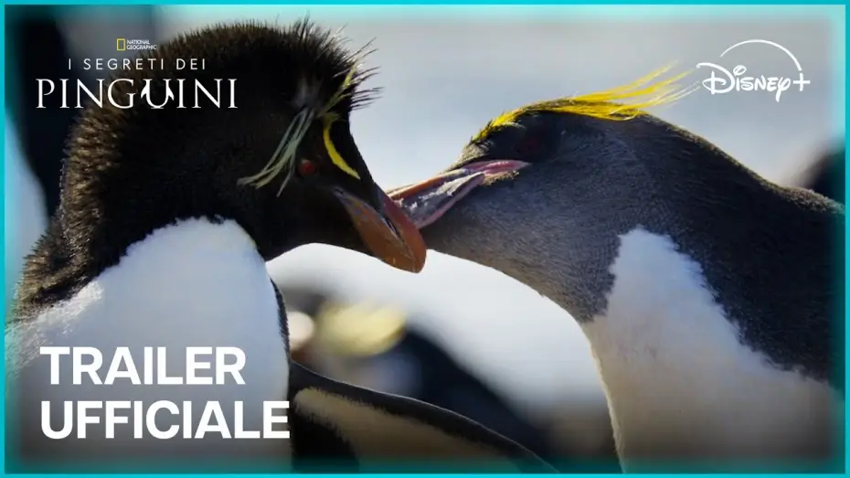 Video for the series Secrets of the Penguins — Trailer ufficiale [Sottotitolato]
