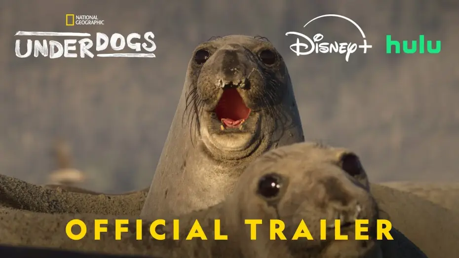 Video for the series Underdogs — Official Trailer