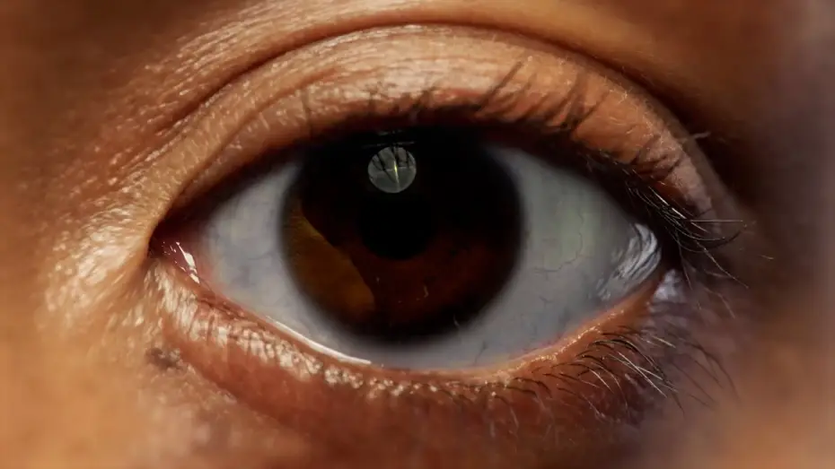 Video for the series Big Brother — Teaser
