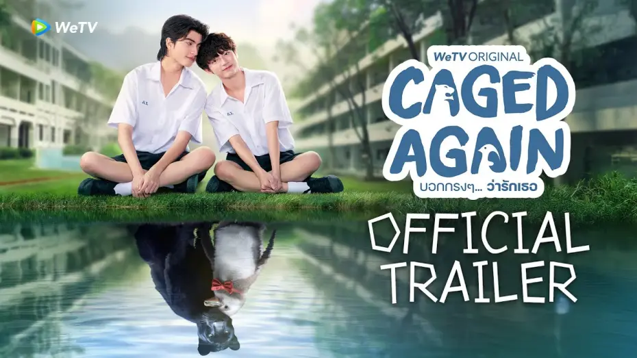 Video for the series Caged Again — [Official Trailer] Caged Again บอกกรงๆ...ว่ารักเธอ | เริ่ม 15 พ.ย. นี้ | WeTV Original [Eng Sub]