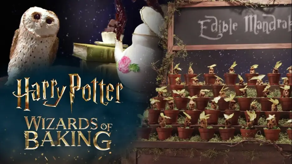 Video for the series Harry Potter: Wizards of Baking — Announcement