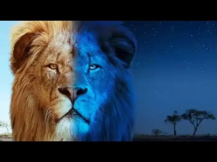 Video for the series Big Cats 24/7 — Trailer
