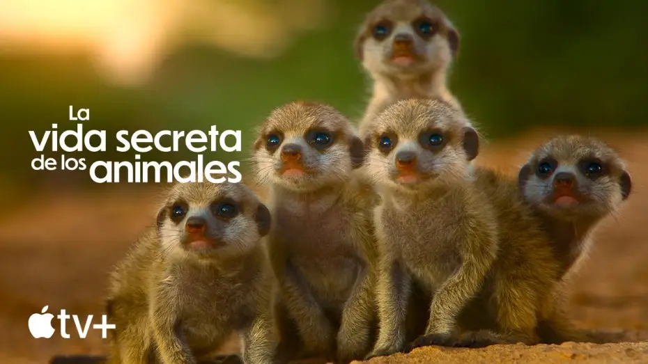 Video for the series The Secret Lives of Animals — Tráiler oficial