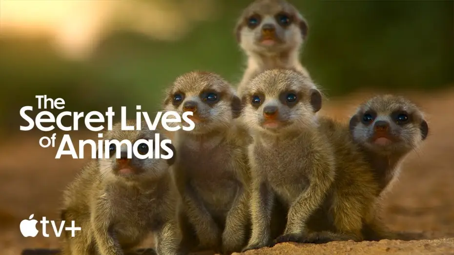Video for the series The Secret Lives of Animals — Official Trailer