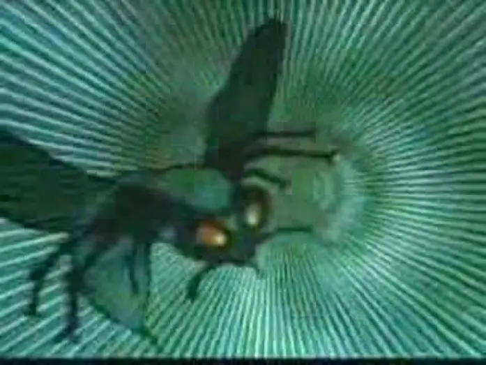 Video for the series The Green Hornet — Green Hornet Open