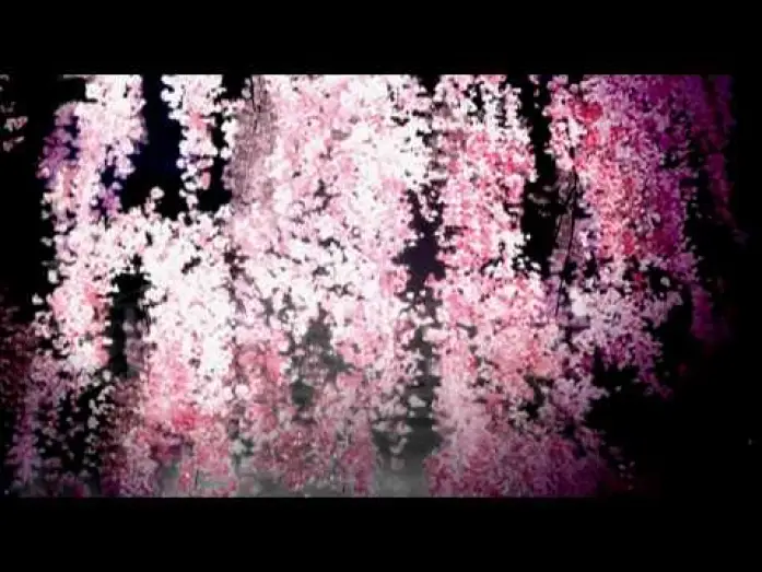 Video for the series Nura: Rise of the Yokai Clan — Trailer