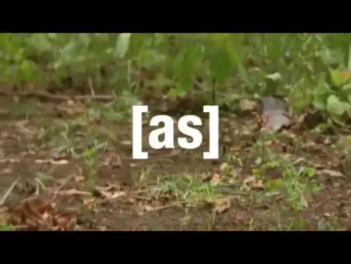 Video for the series Off the Air — Adult Swim Promos - Off The Air