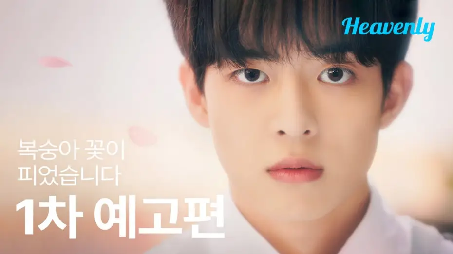 Video for the series Peach Trap — Three men who approached me like a lie, and one love 🍑 | #PeachBlossomsInBlossoms 1st Trailer | H...
