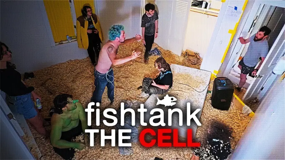 Video for the series Fishtank — 1 room, 1 Camera | Fishtank: Cell