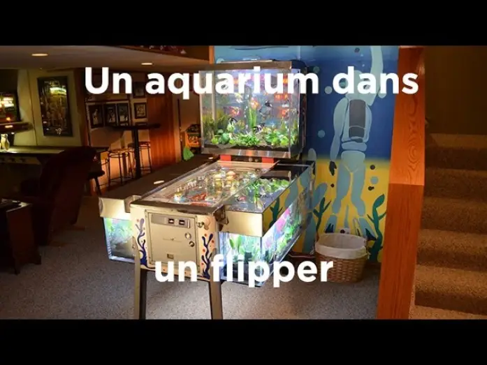 Video for the series Tanked — Un aquarium dans un flipper : Aquamen