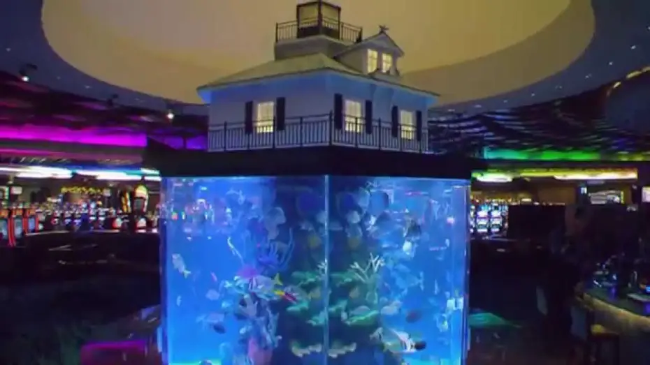 Video for the series Tanked — Aquamen Extrait 4 : morceaux choisis