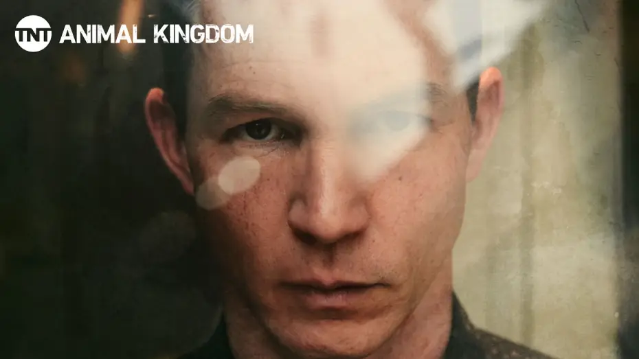 Video for the series Animal Kingdom — Animal Kingdom: Meet the Codys | Behind the Scenes | TNT