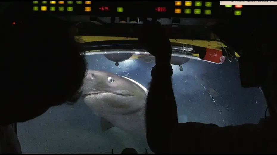 Видео к сериалу Planet Earth II — Sharks Attack Submarine | Blue Planet II Behind The Scenes