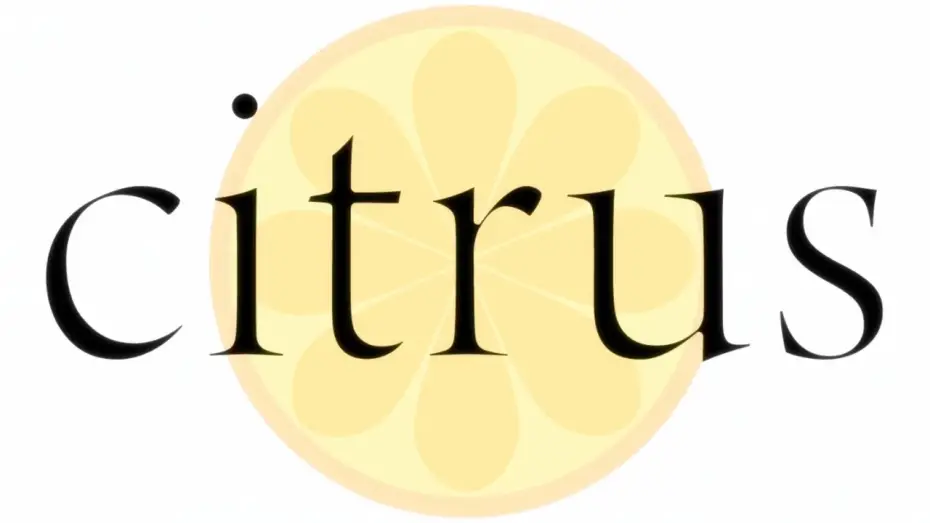 Video for the series Citrus — Opening | Azalea - nano.RIPE