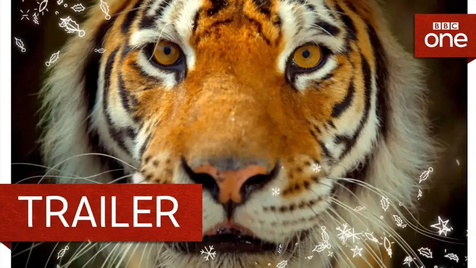Video for the series Big Cats — Big Cats: Trailer - BBC One