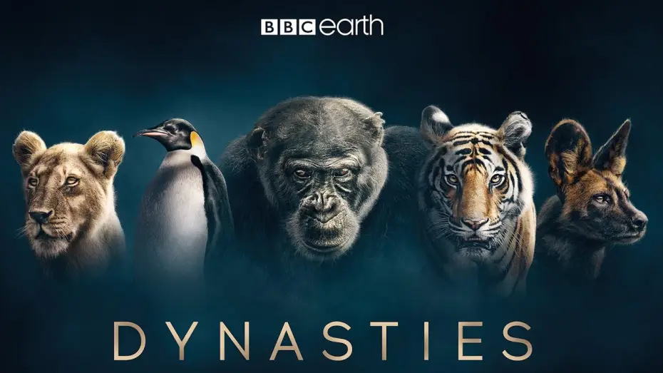 Видео к сериалу Dynasties — Dynasties: First Look Trailer | New David Attenborough Series | BBC Earth