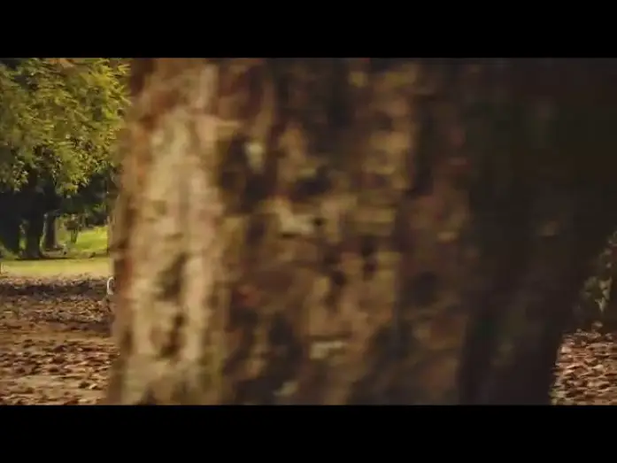 Video for the series Old River — Trailer Velho Chico  (2016)