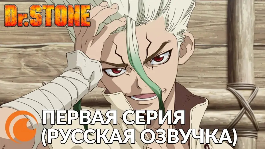 Video for the series Dr. STONE — Первая серия полностью (русская озвучка)