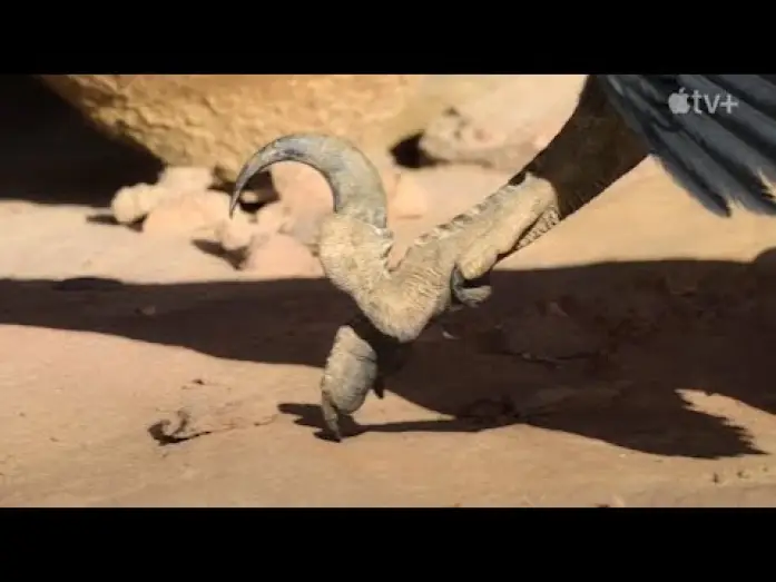 Video for the series Prehistoric Planet — Prehistoric Planet (MAGNIFICENT) - Trailer en Español